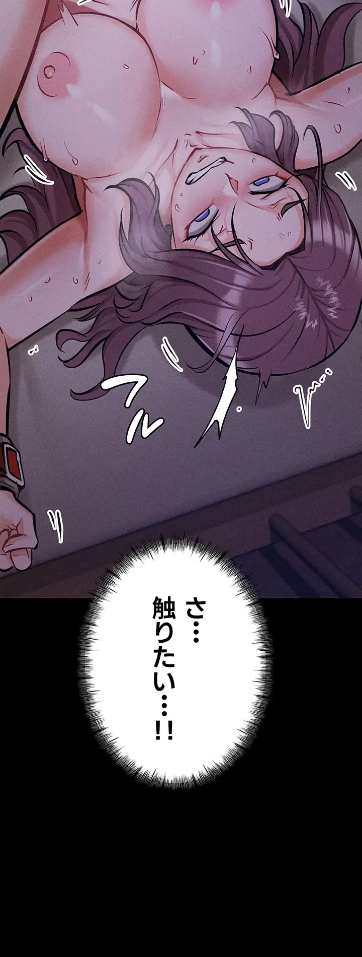 復讐の罠～快楽の底まで墜とされて～ 第11話 - 19