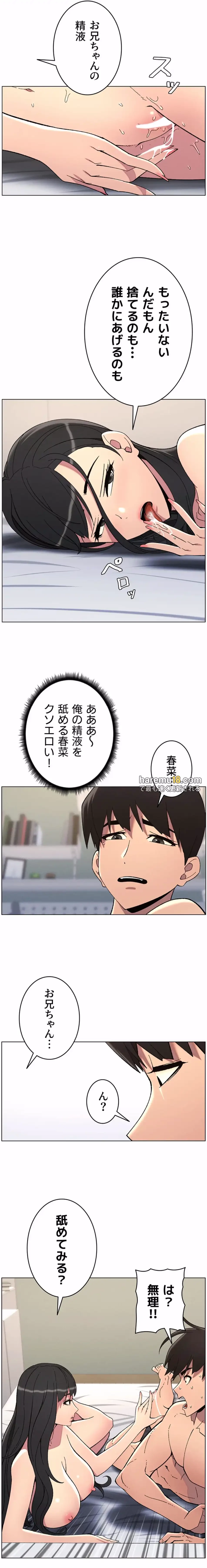 妹とする ラブレクチャー 第47話 - 5
