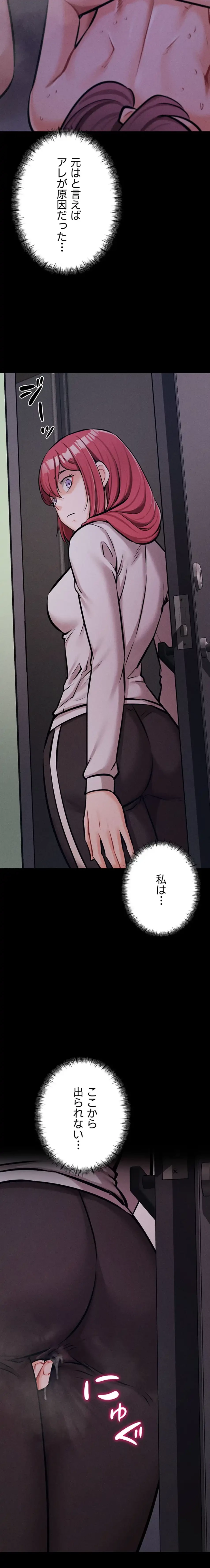 復讐の罠～快楽の底まで墜とされて～ 第26話 - 12