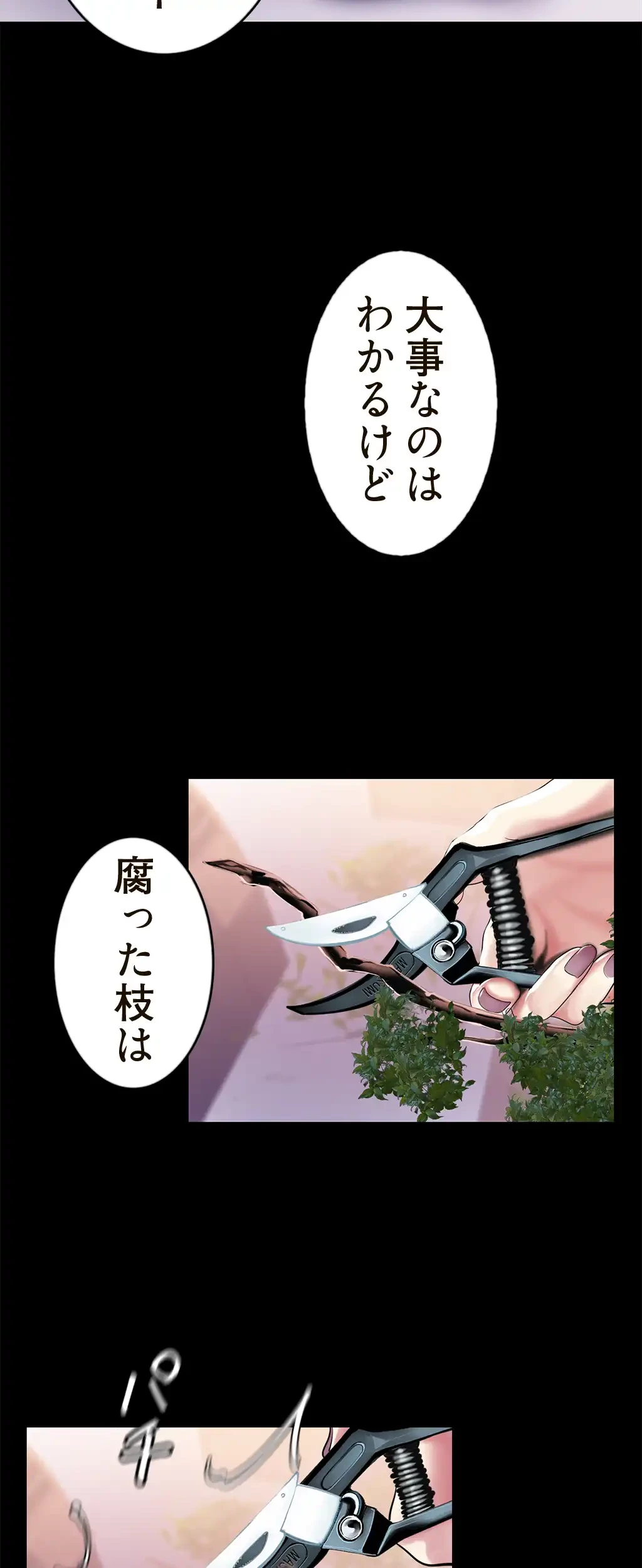 すばらしき新世界 第52話 - 17