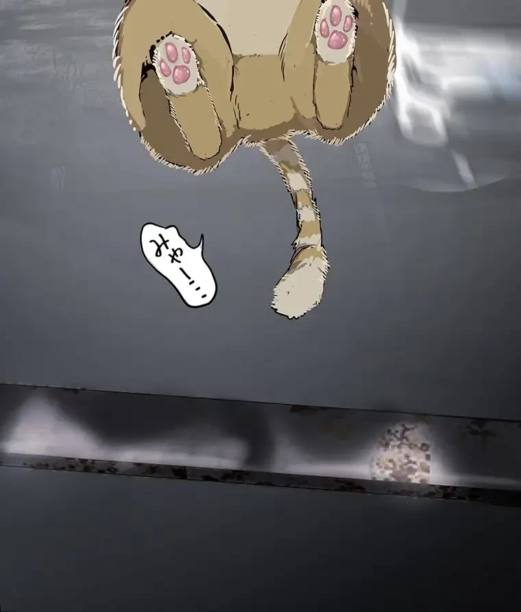 すばらしき新世界 第255話 - 25