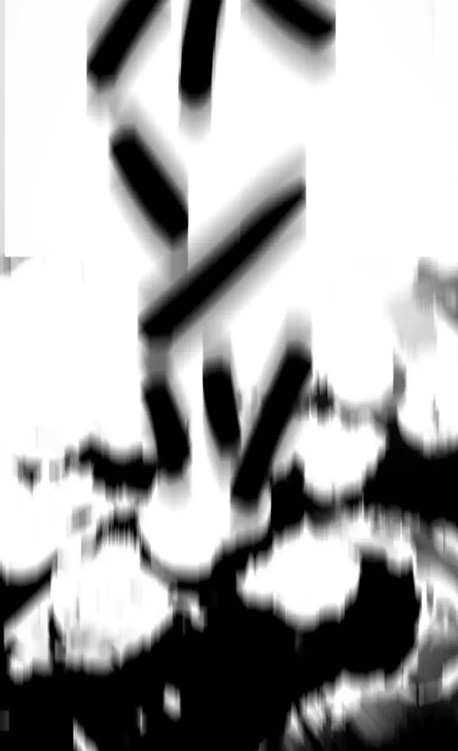 すばらしき新世界 第274話 - 13