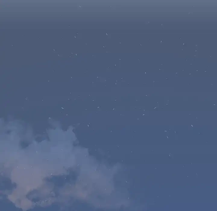 ハーレムの王 第17話 - 140