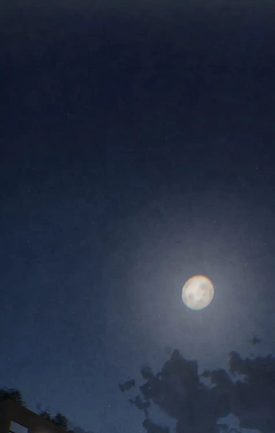 モビーディック 第83話 - 44