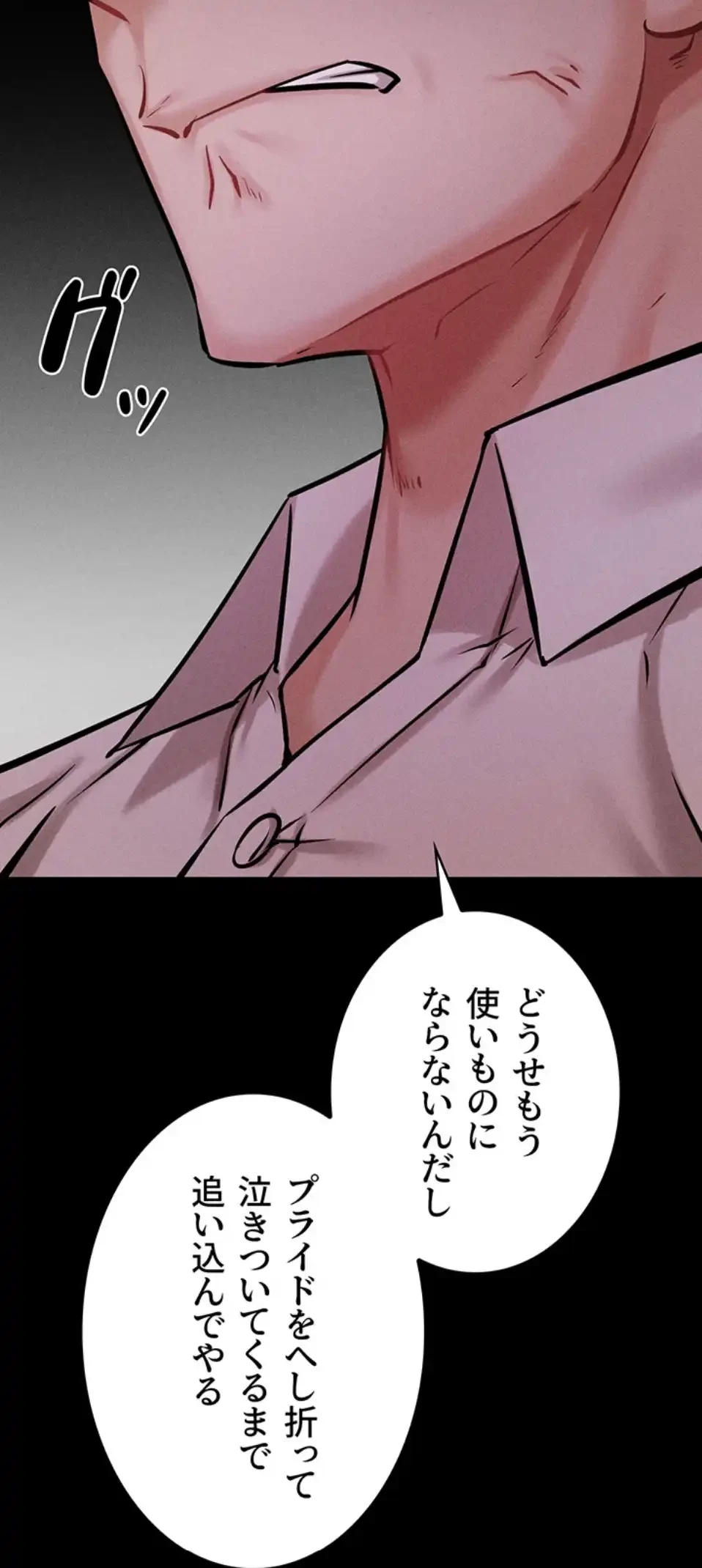 復讐の罠～快楽の底まで墜とされて～ 第29話 - 19