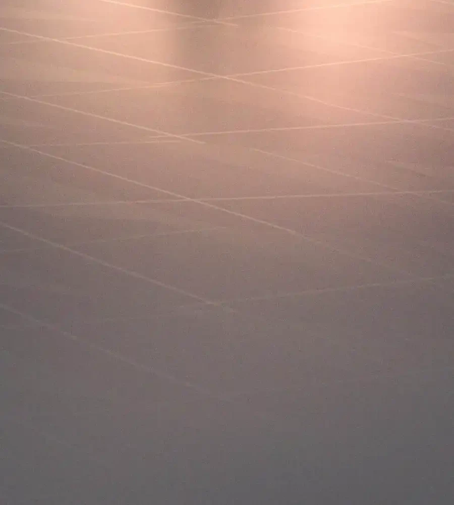 性長無限大！俺のレベルアップ計画 第63話 - 14