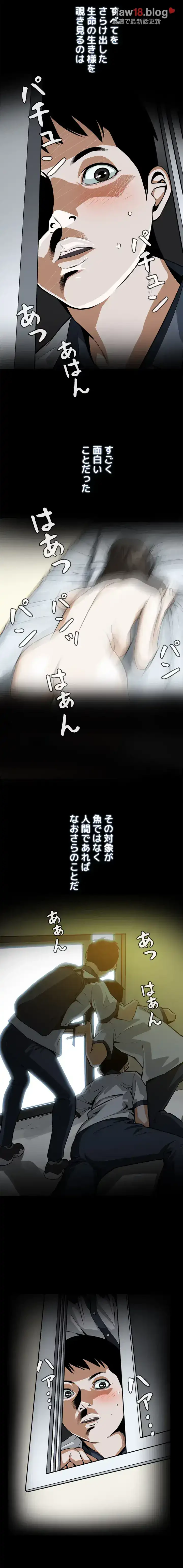 覗き見 第1話 - 3