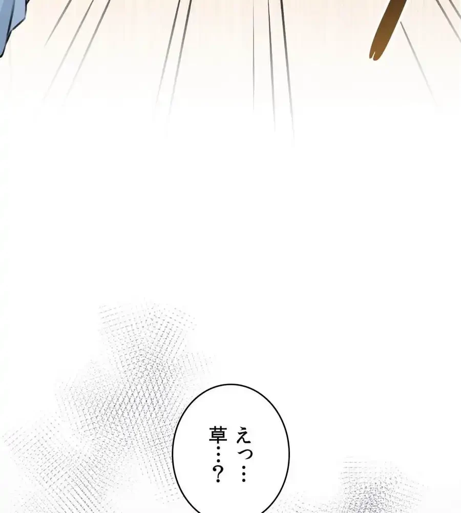 薬草愛談～あなたのお身体癒やします～ 第6話 - 41