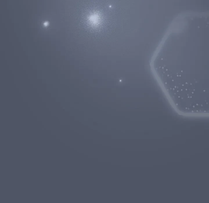 将軍様は知っている 第28話 - 49