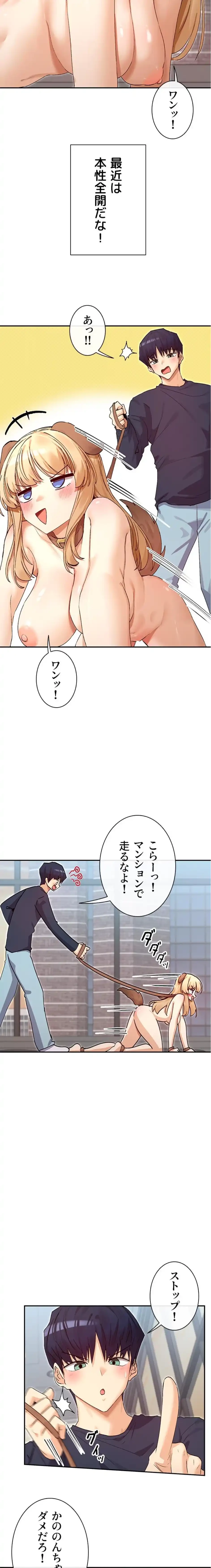 俺たちのラブコメはエロ漫画より激しく!? 第55話 - 11