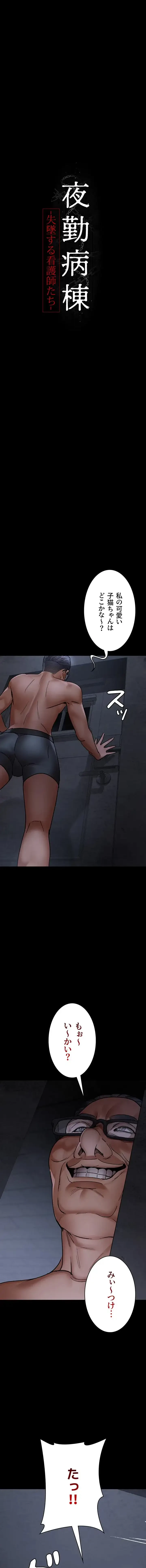 夜勤病棟 -失墜する看護師たち- 第113話 - 11