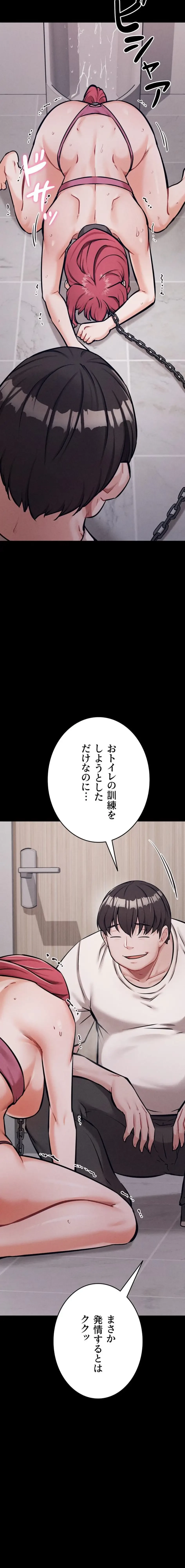 復讐の罠～快楽の底まで墜とされて～ 第47話 - 18
