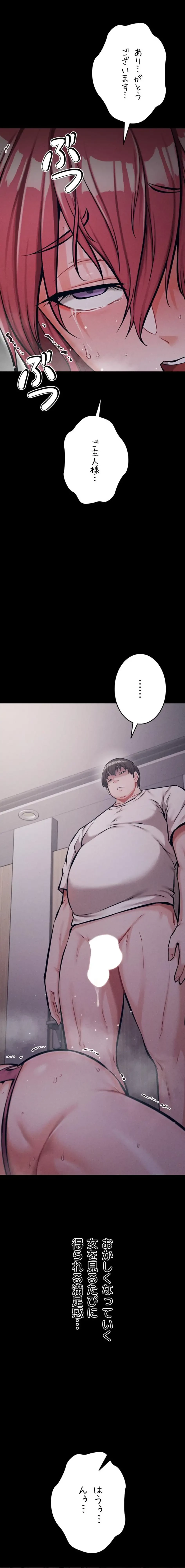 復讐の罠～快楽の底まで墜とされて～ 第48話 - 17