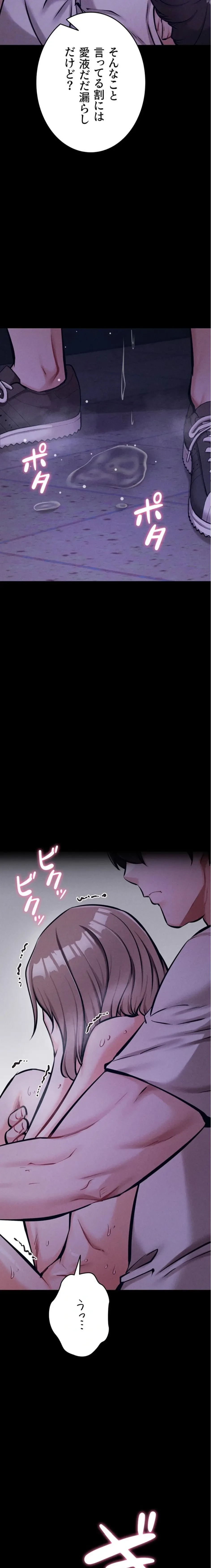 復讐の罠～快楽の底まで墜とされて～ 第54話 - 19