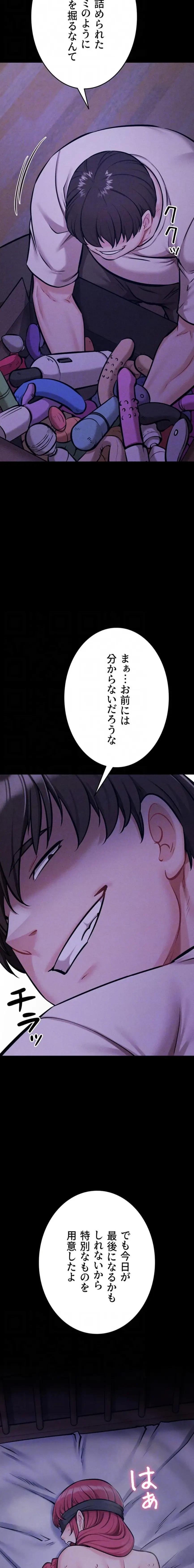 復讐の罠～快楽の底まで墜とされて～ 第58話 - 15