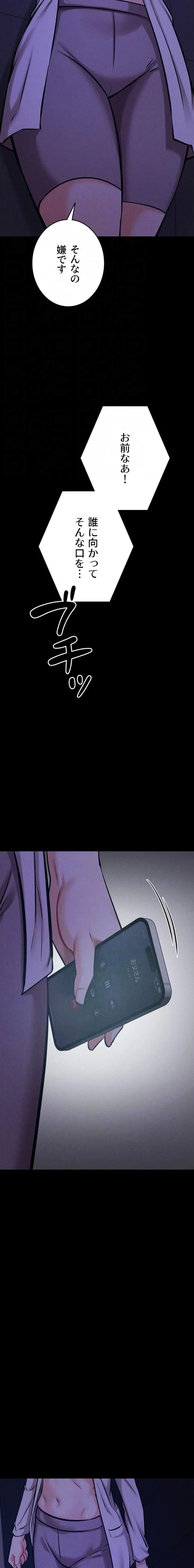 復讐の罠～快楽の底まで墜とされて～ 第65話 - 5