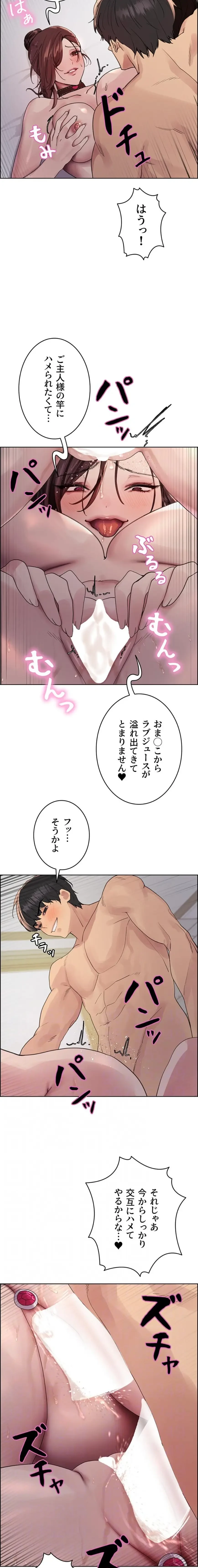 セクストップウォッチ 第188話 - 12