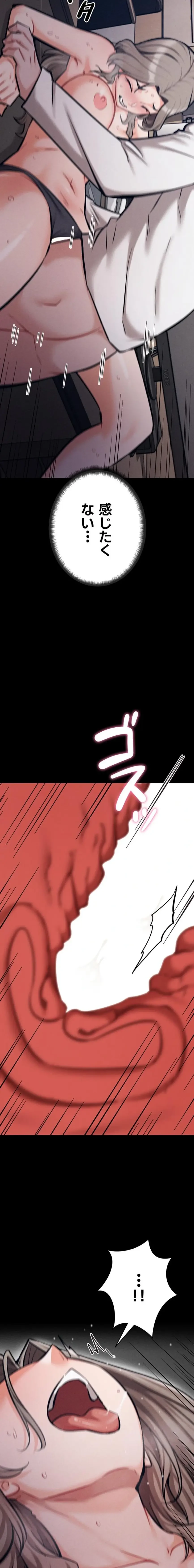 復讐の罠～快楽の底まで墜とされて～ 第66話 - 18