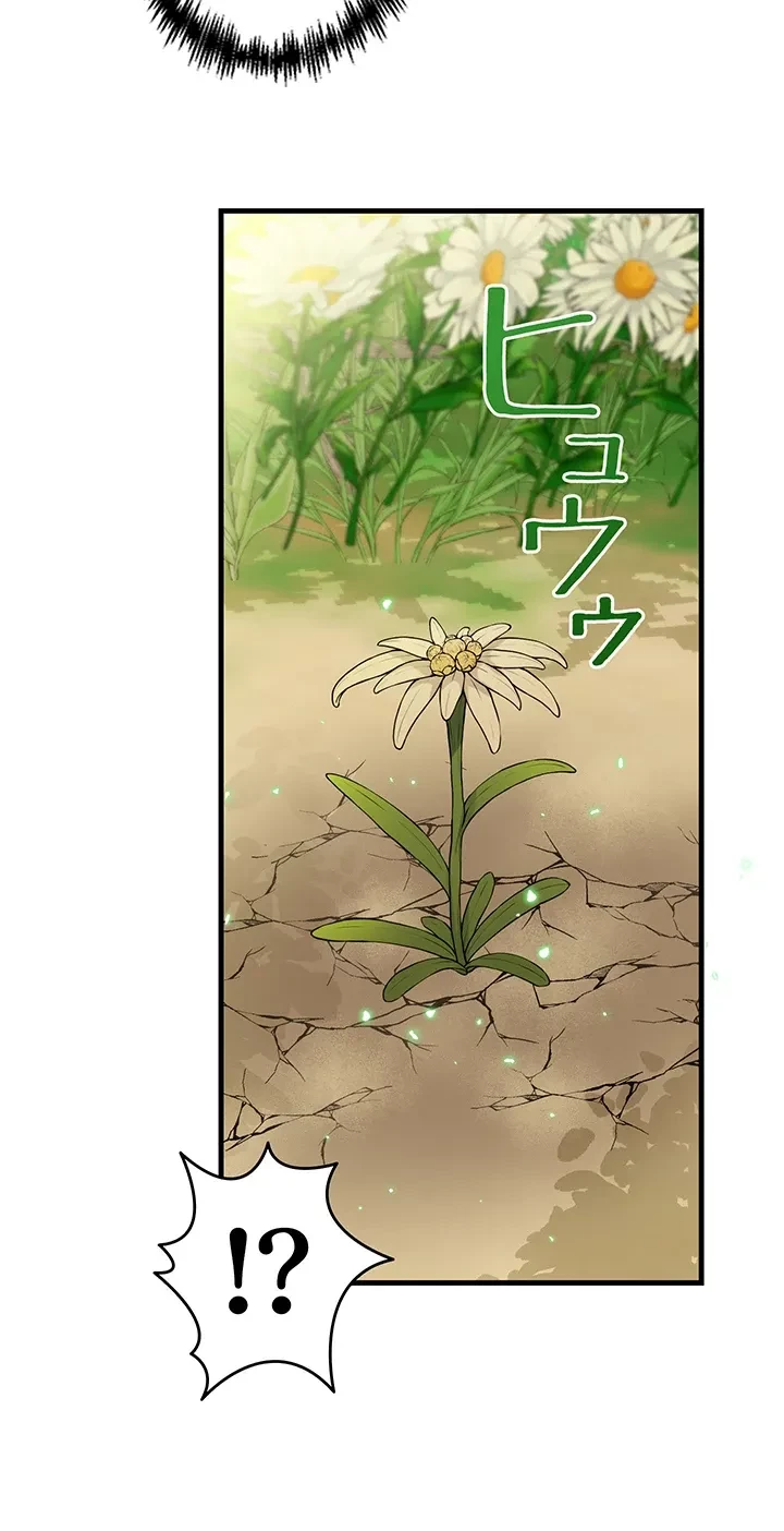 虐げられたいエルフ様 第62話 - 44