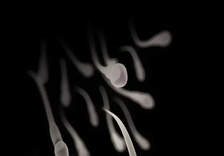 心は君を、体は妻を... 第23話 - 4