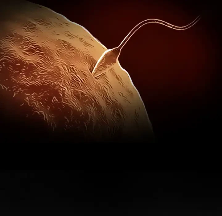 心は君を、体は妻を... 第23話 - 8